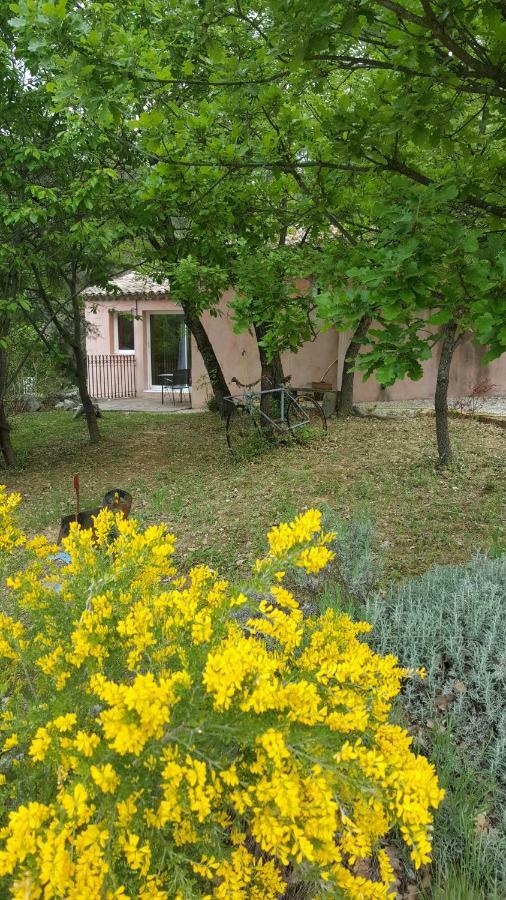 Studios Et Gite La Sauvasse Vagnas Exteriér fotografie